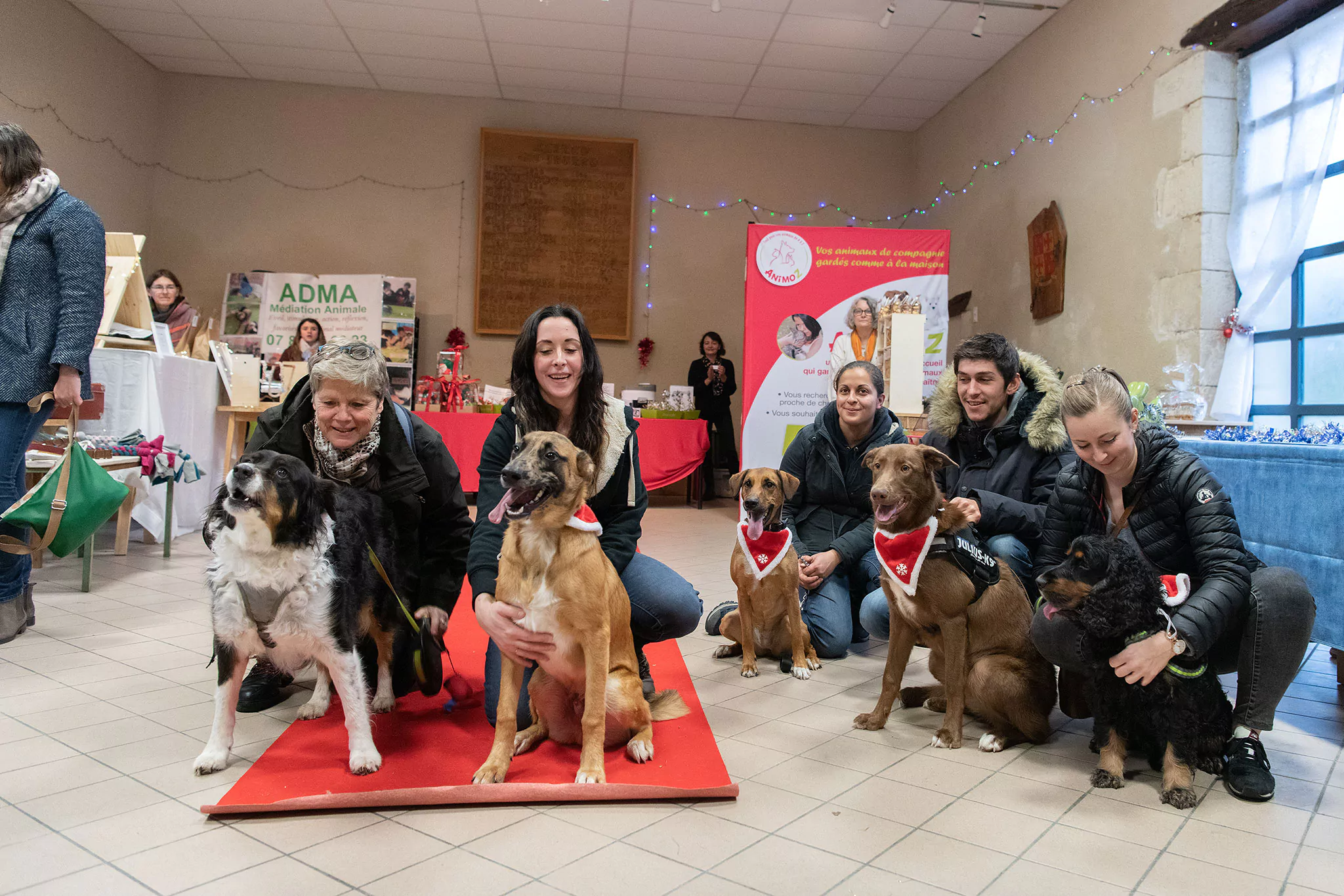 Le Noël des chiens