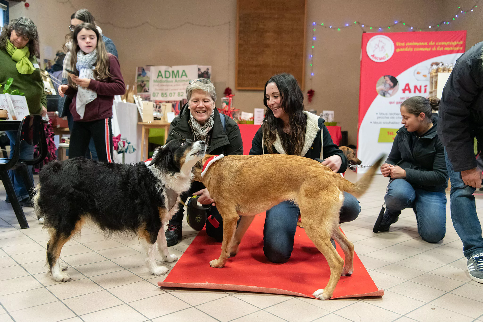 Le Noël des chiens