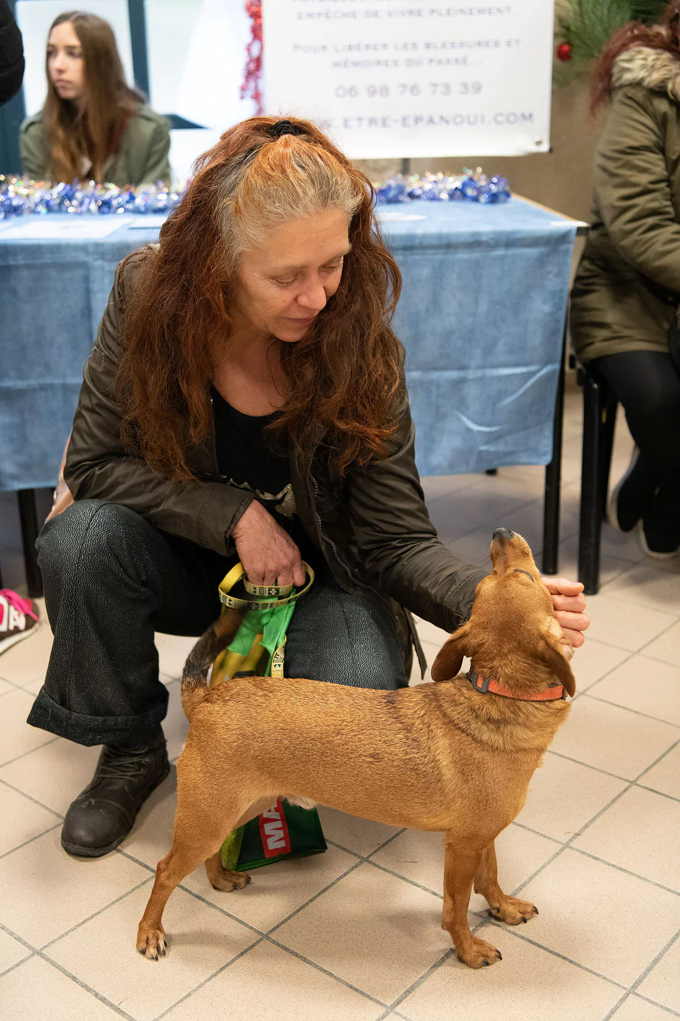 Le Noël des chiens