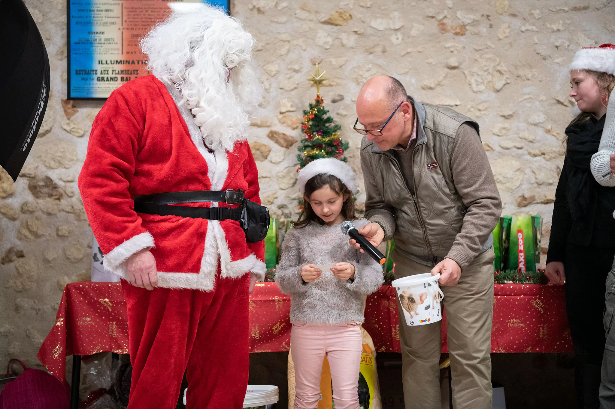 Le Noël des chiens