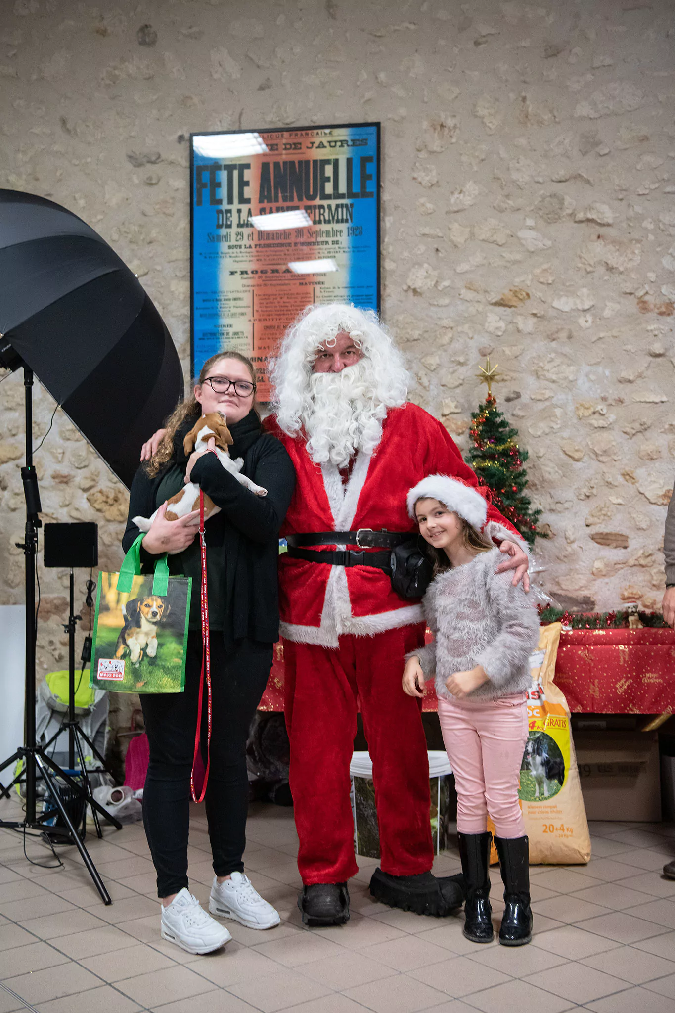 Le Noël des chiens