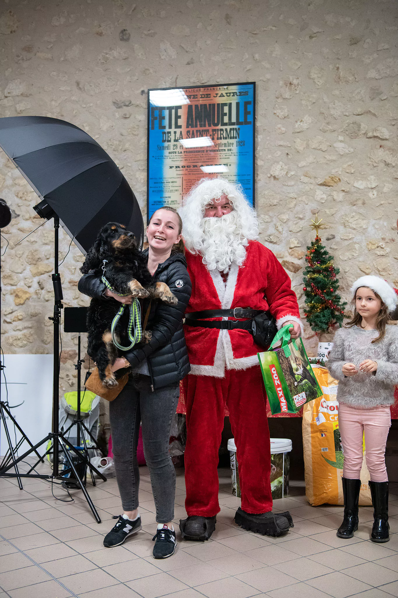 Le Noël des chiens