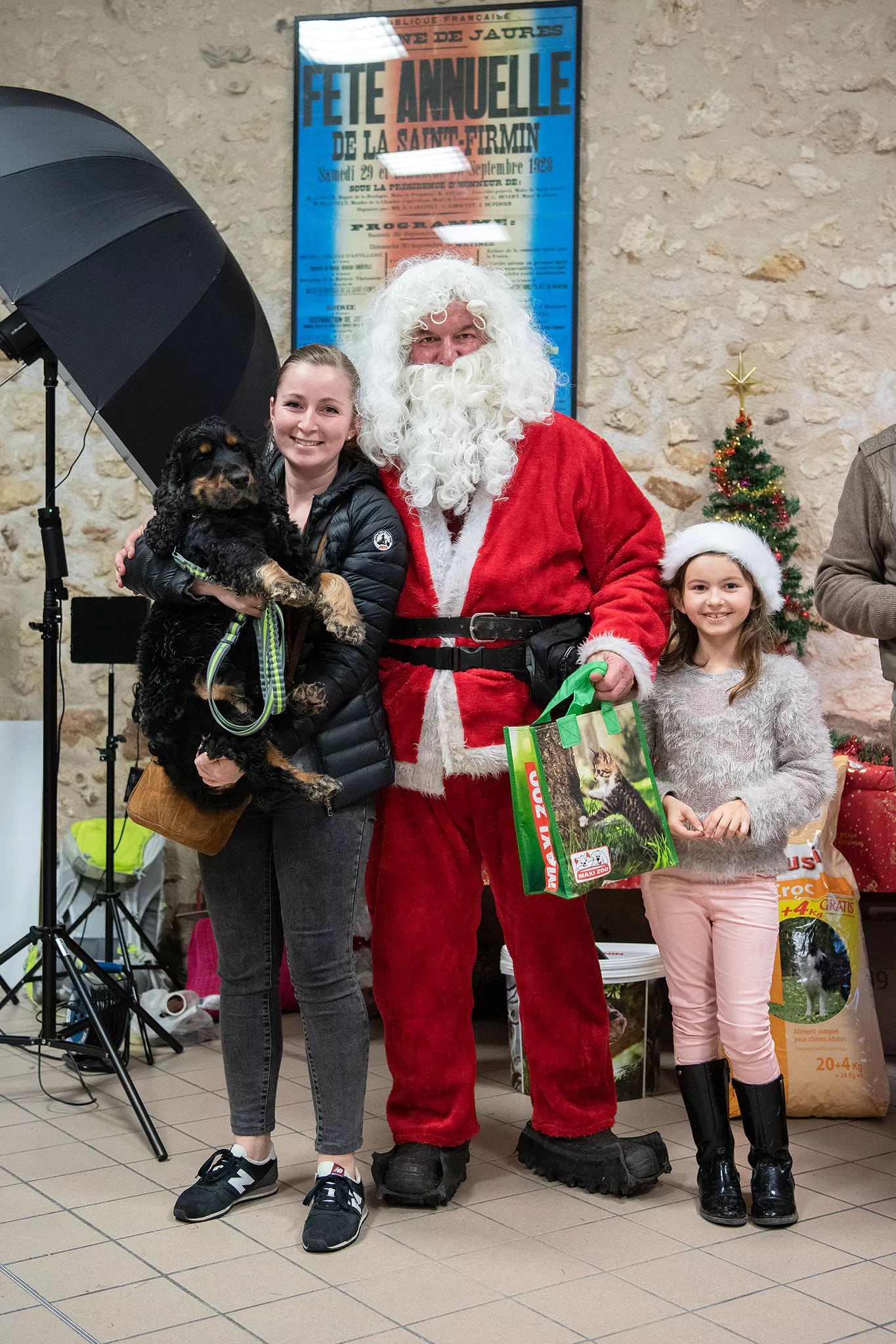 Le Noël des chiens