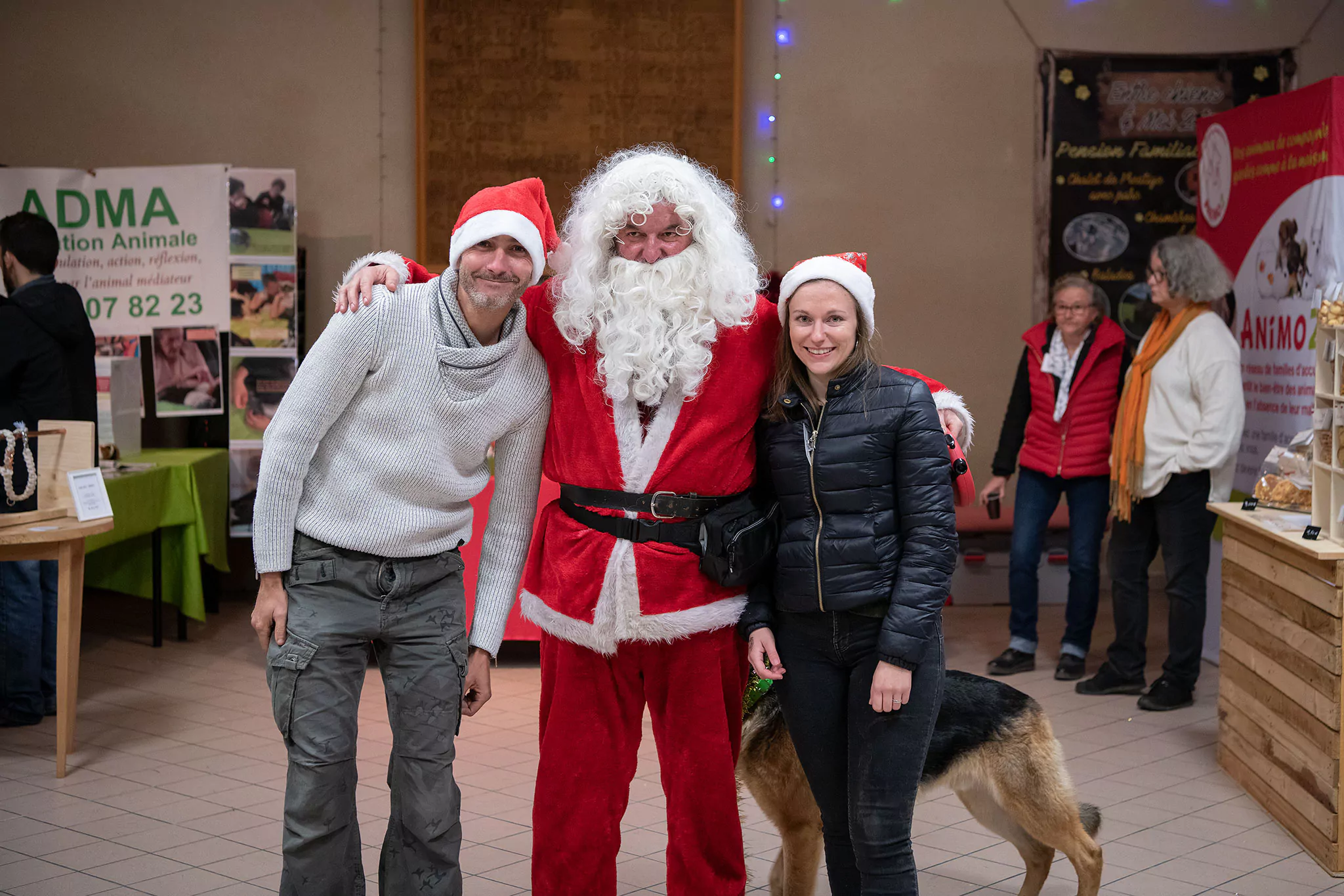 Le Noël des chiens