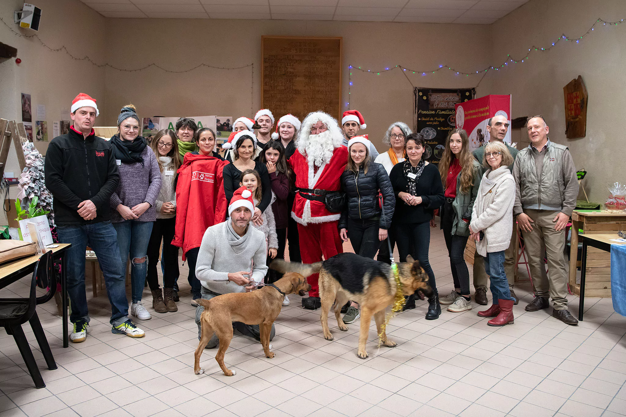Le Noël des chiens