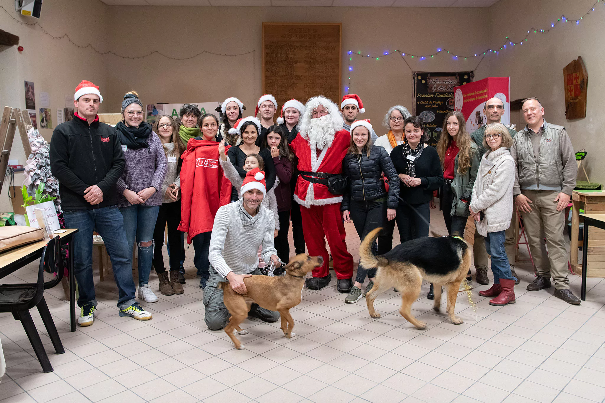 Le Noël des chiens