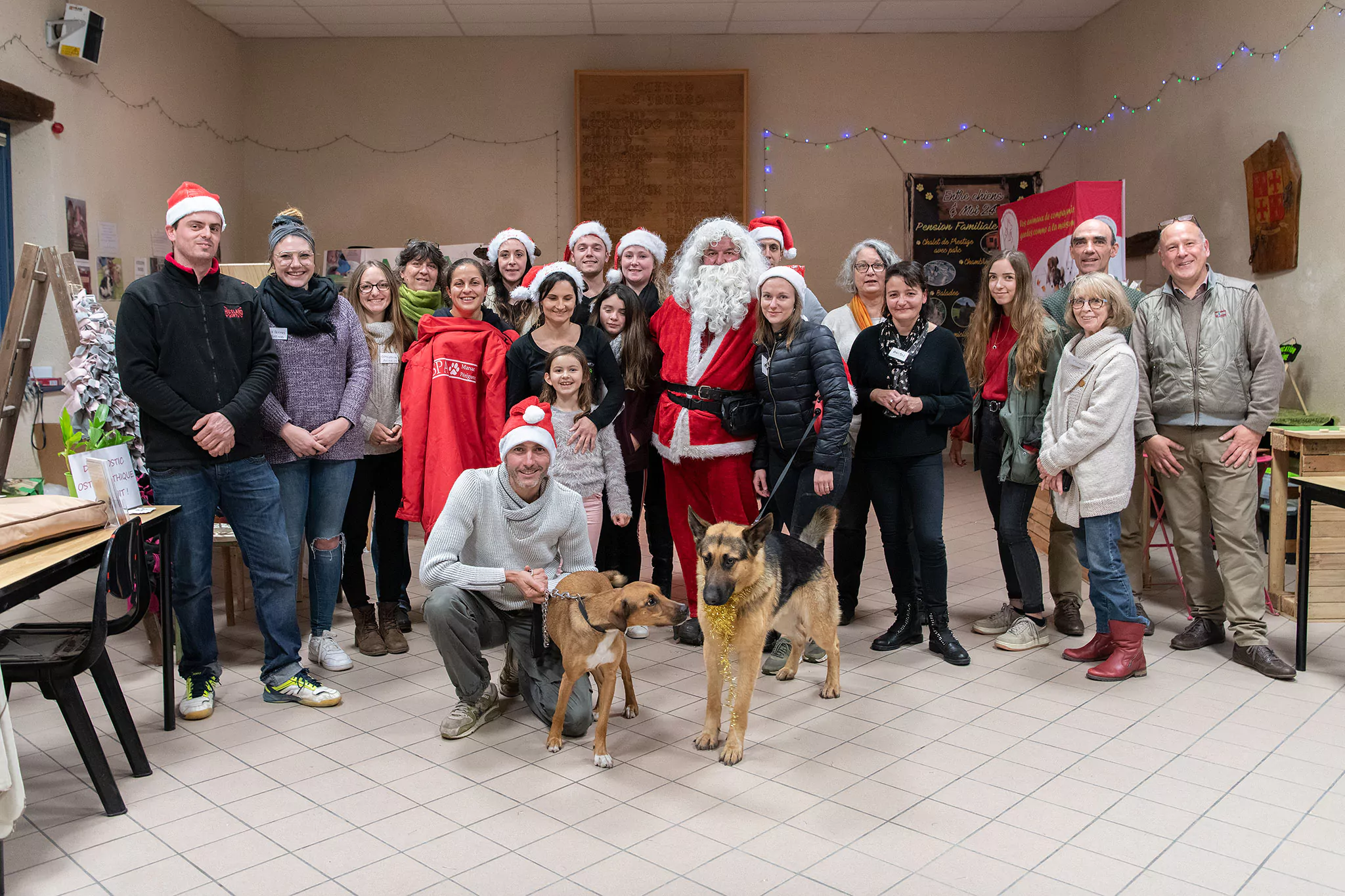 Le Noël des chiens