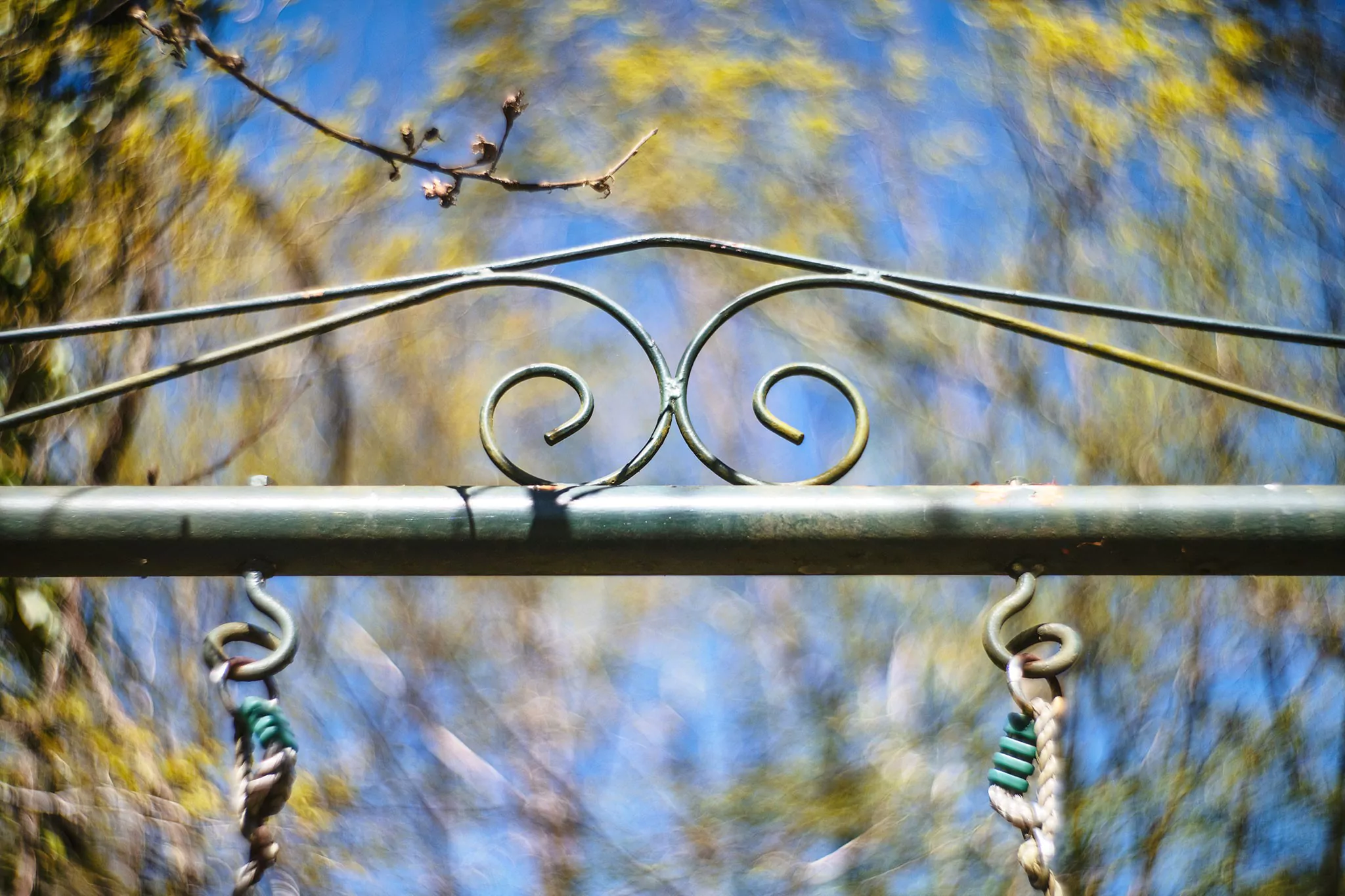 Jardin au printemps