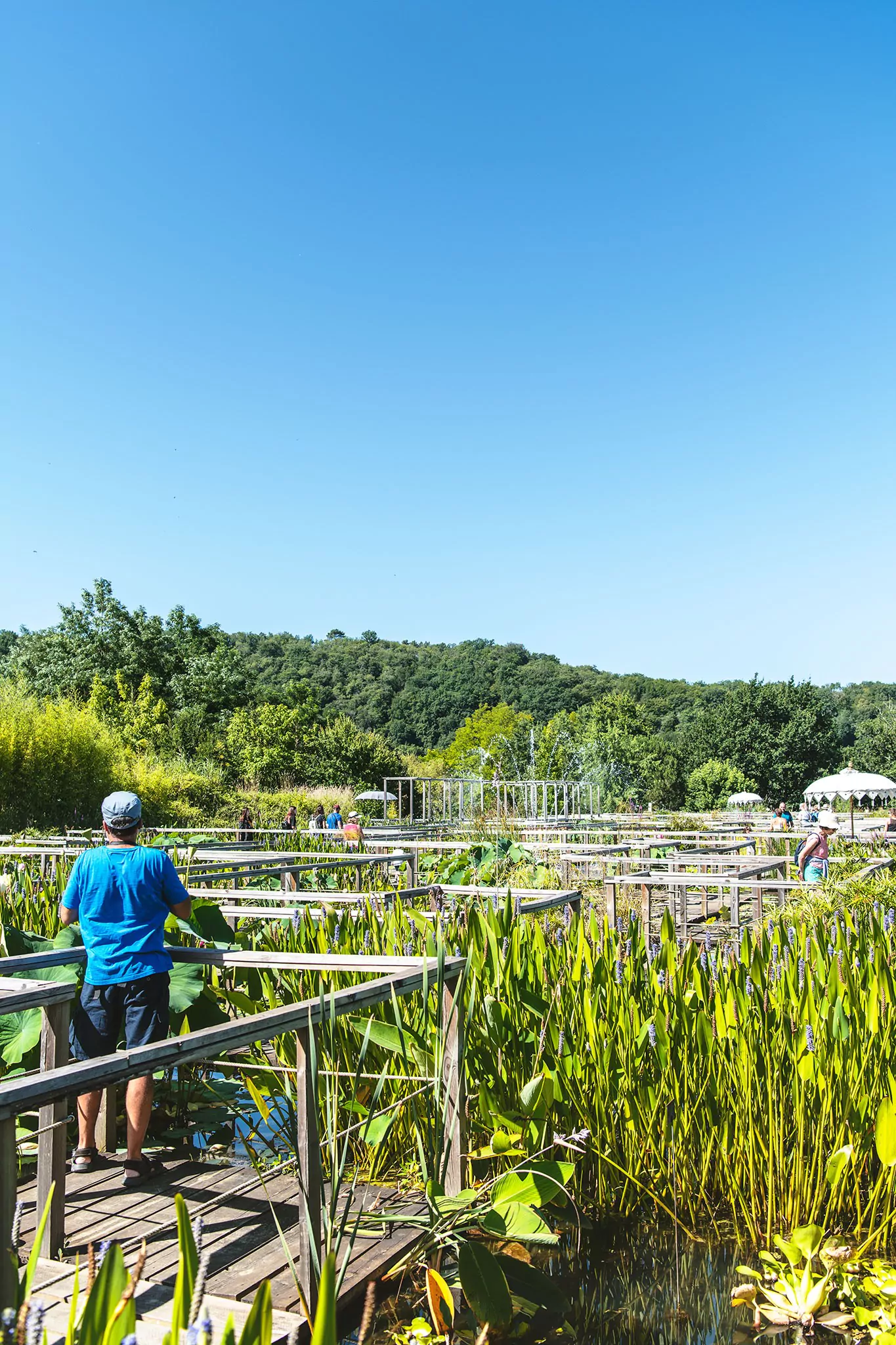 Les jardins d'eau de Carsac