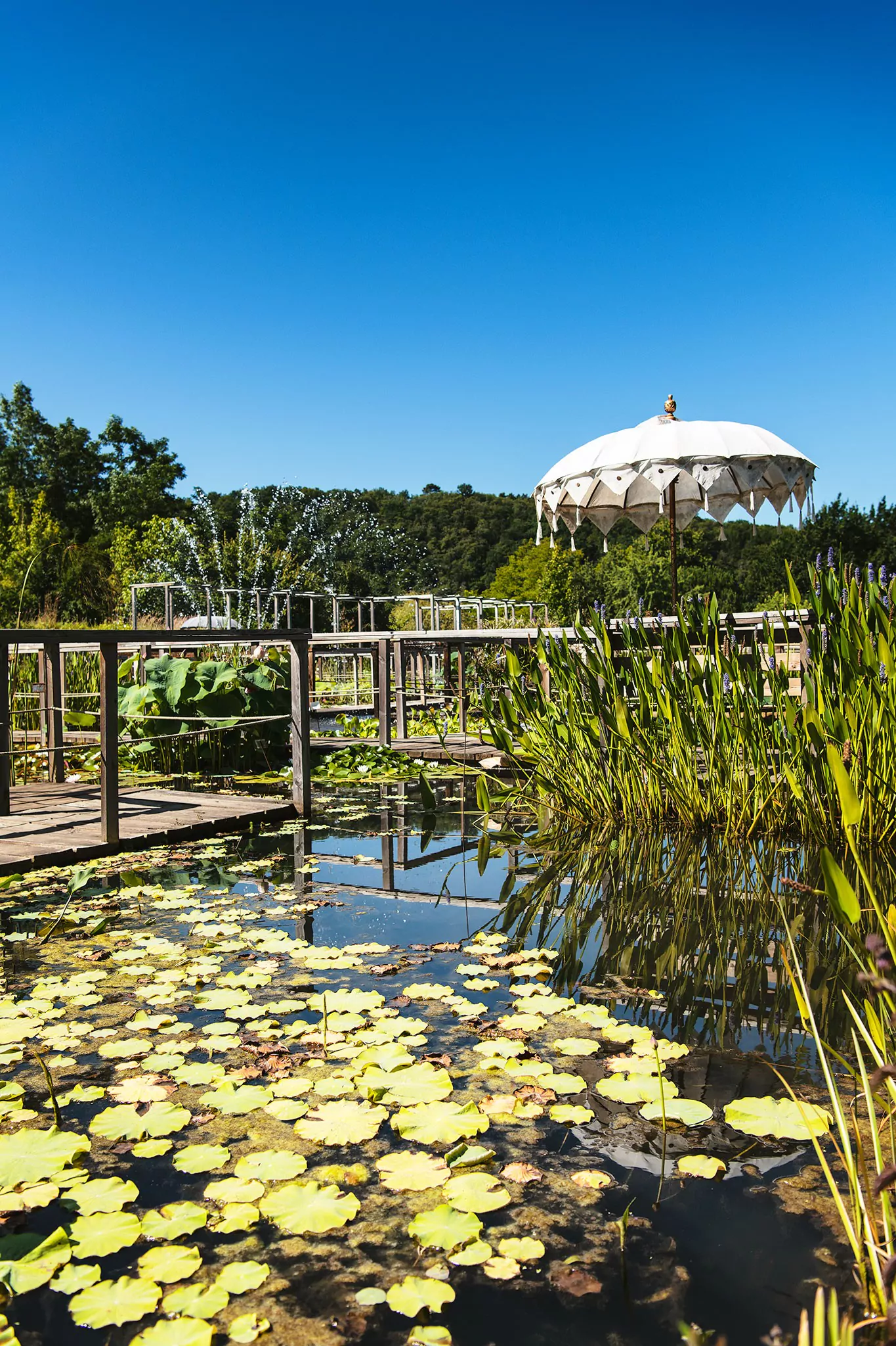 Les jardins d'eau de Carsac