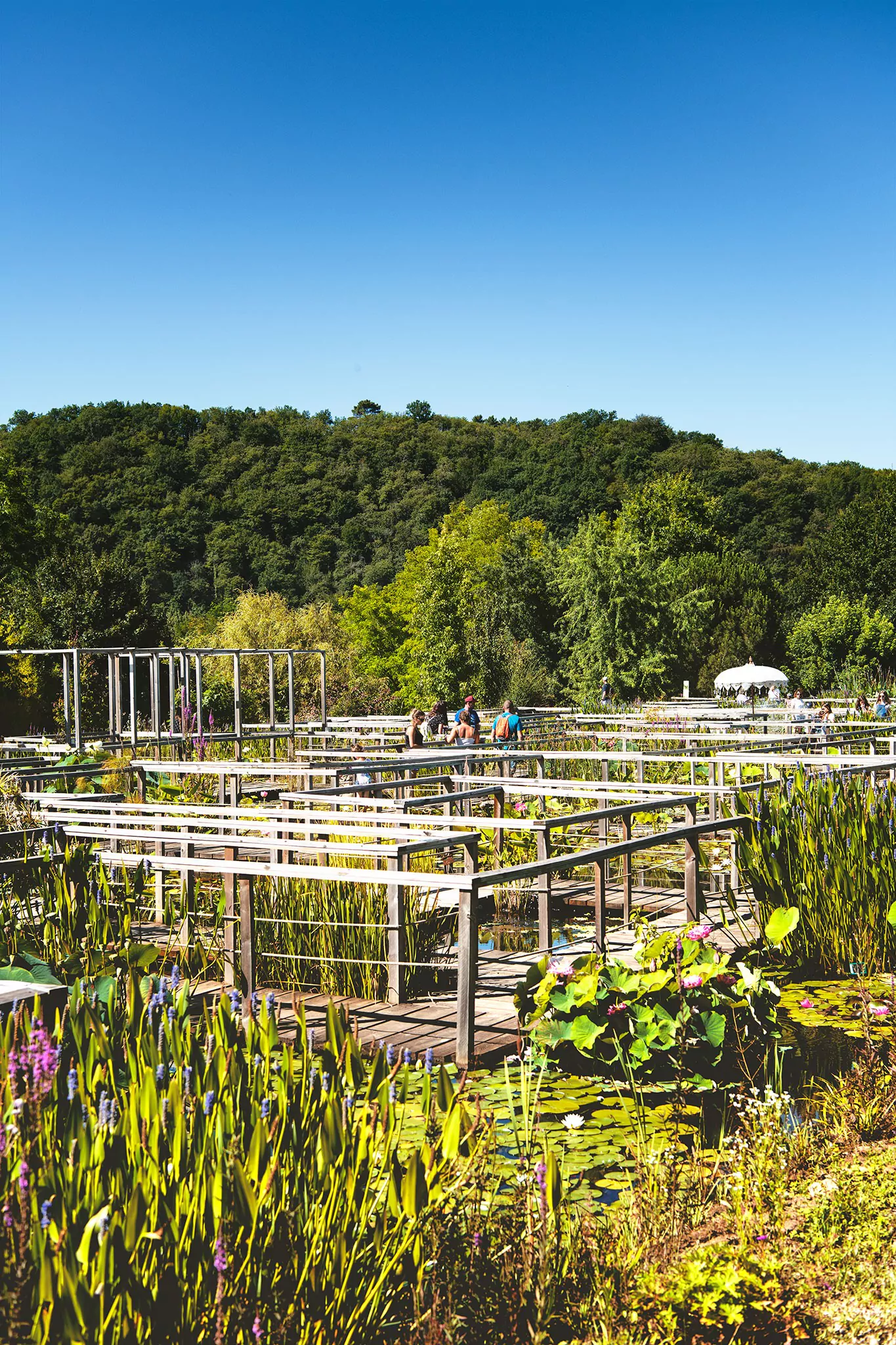 Les jardins d'eau de Carsac
