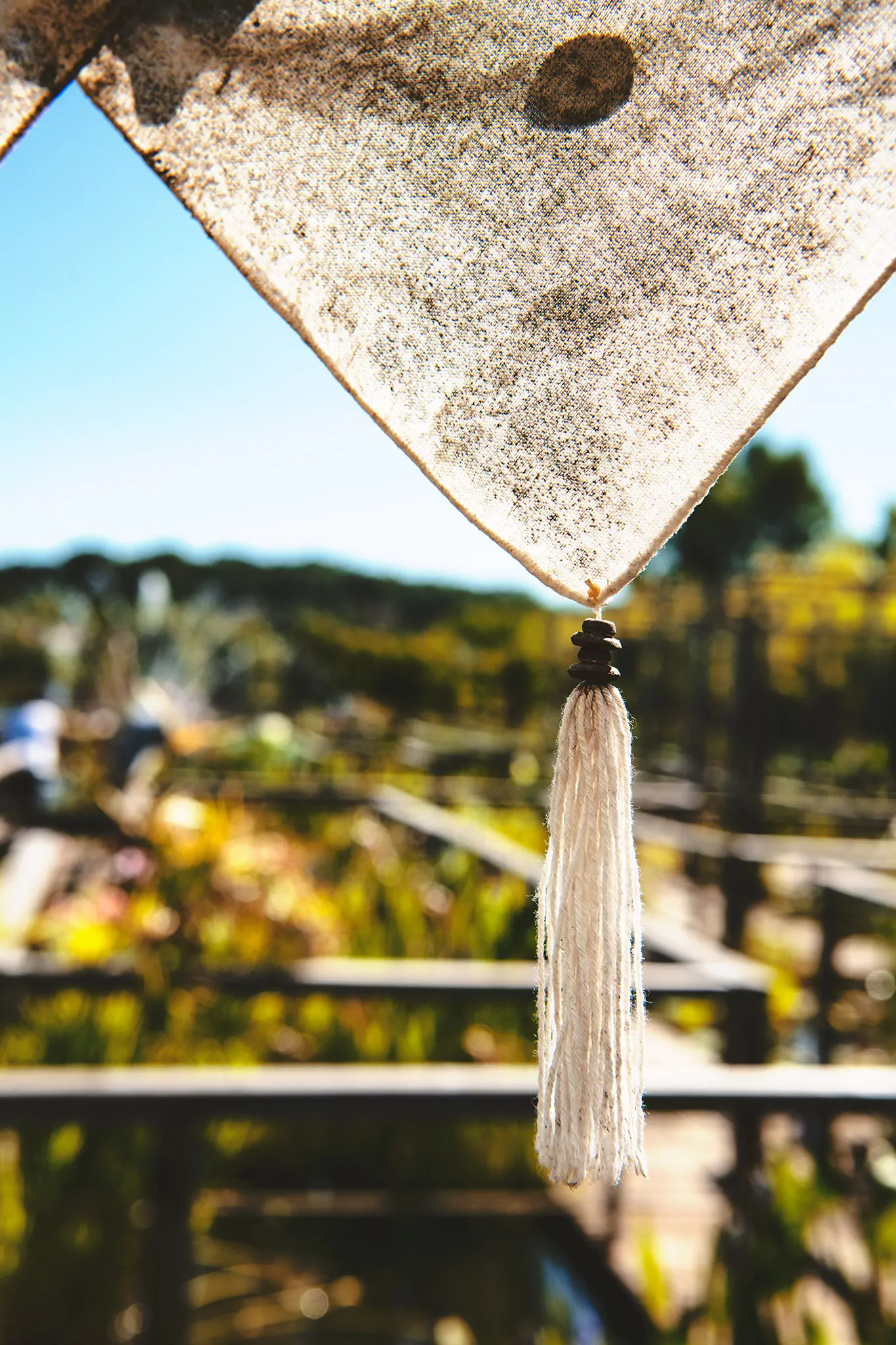 Les jardins d'eau de Carsac