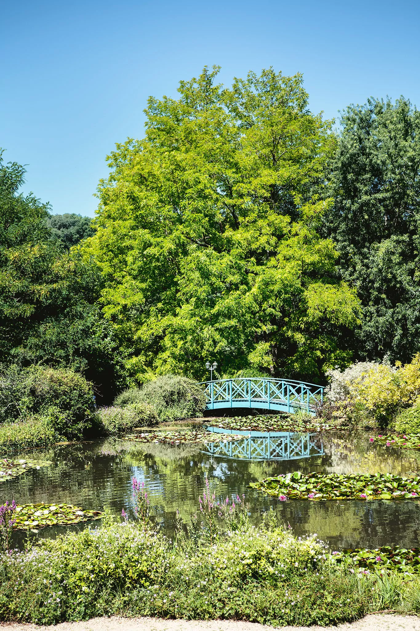 Les jardins d'eau de Carsac