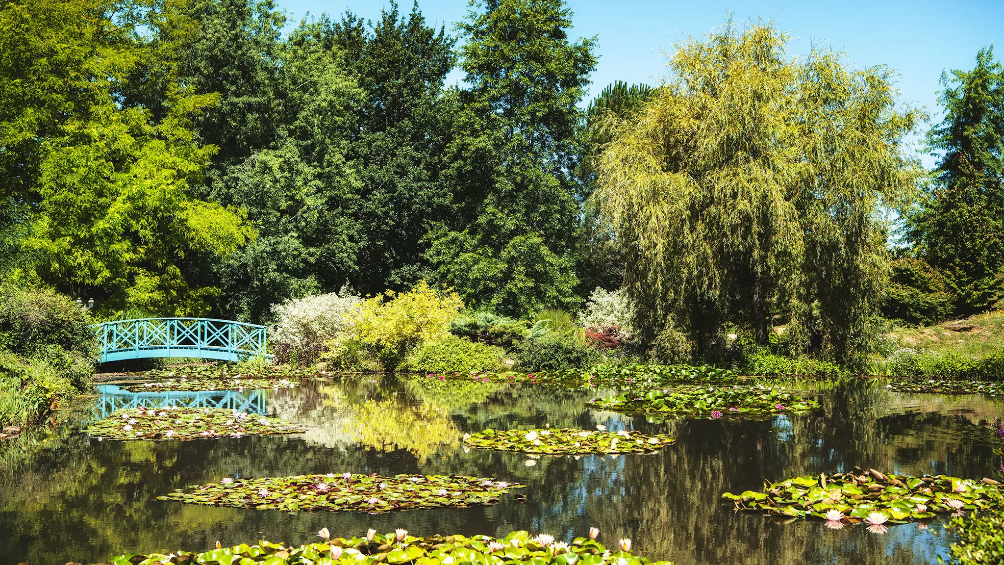 Les jardins d'eau de Carsac