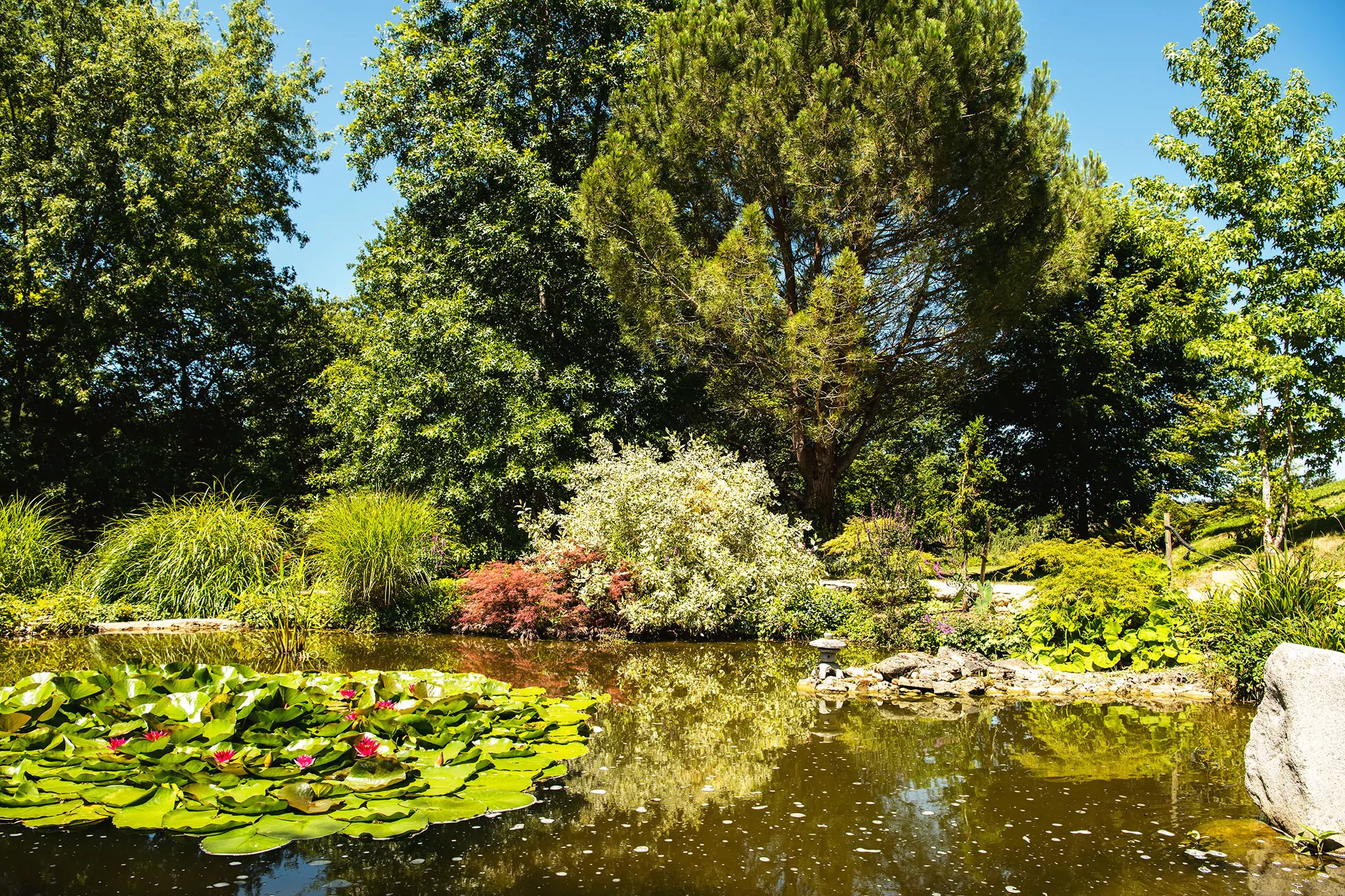 Les jardins d'eau de Carsac