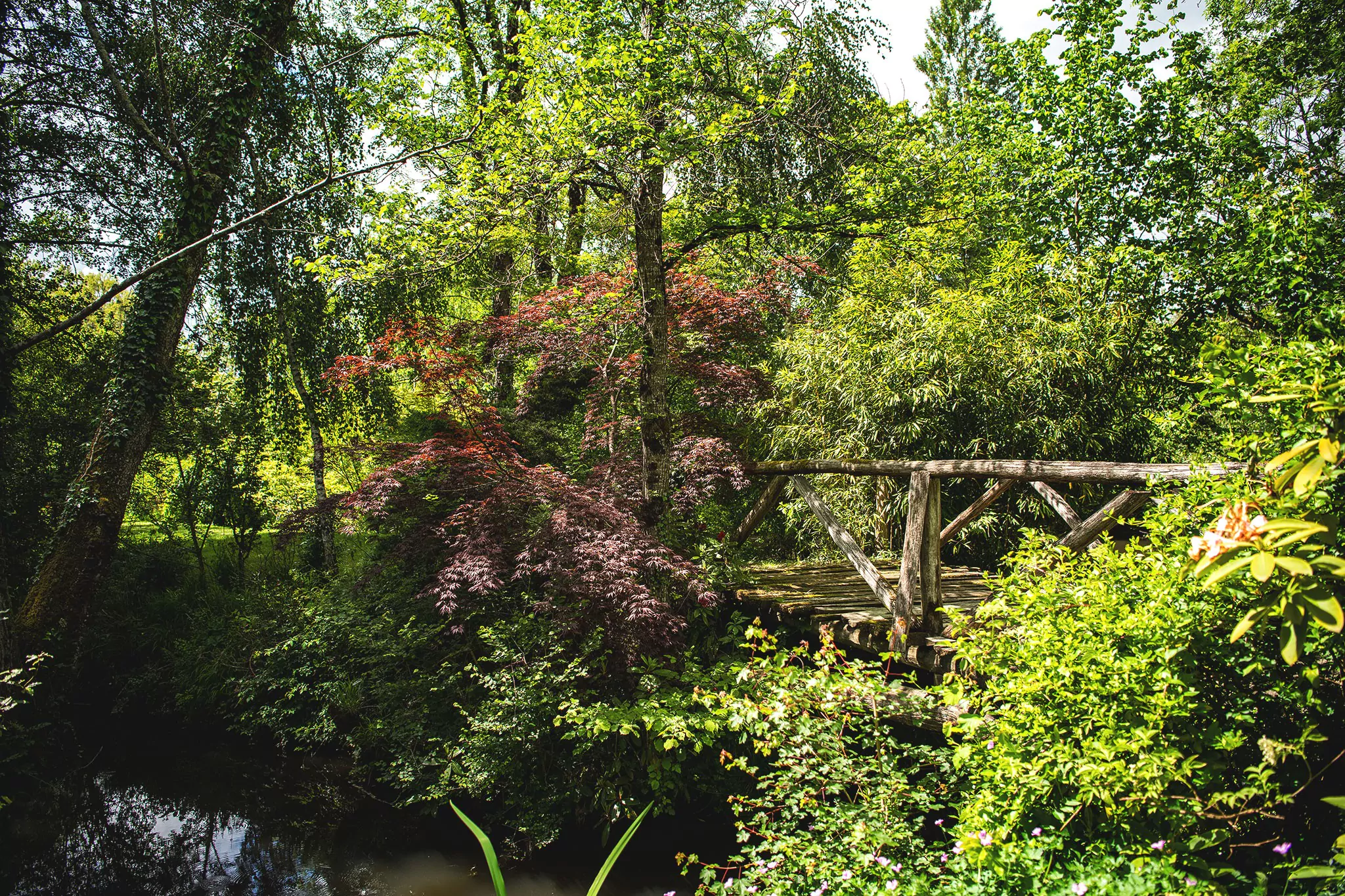 Les jardins tranquilles de Brantôme